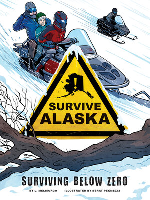cover image of Surviving Below Zero